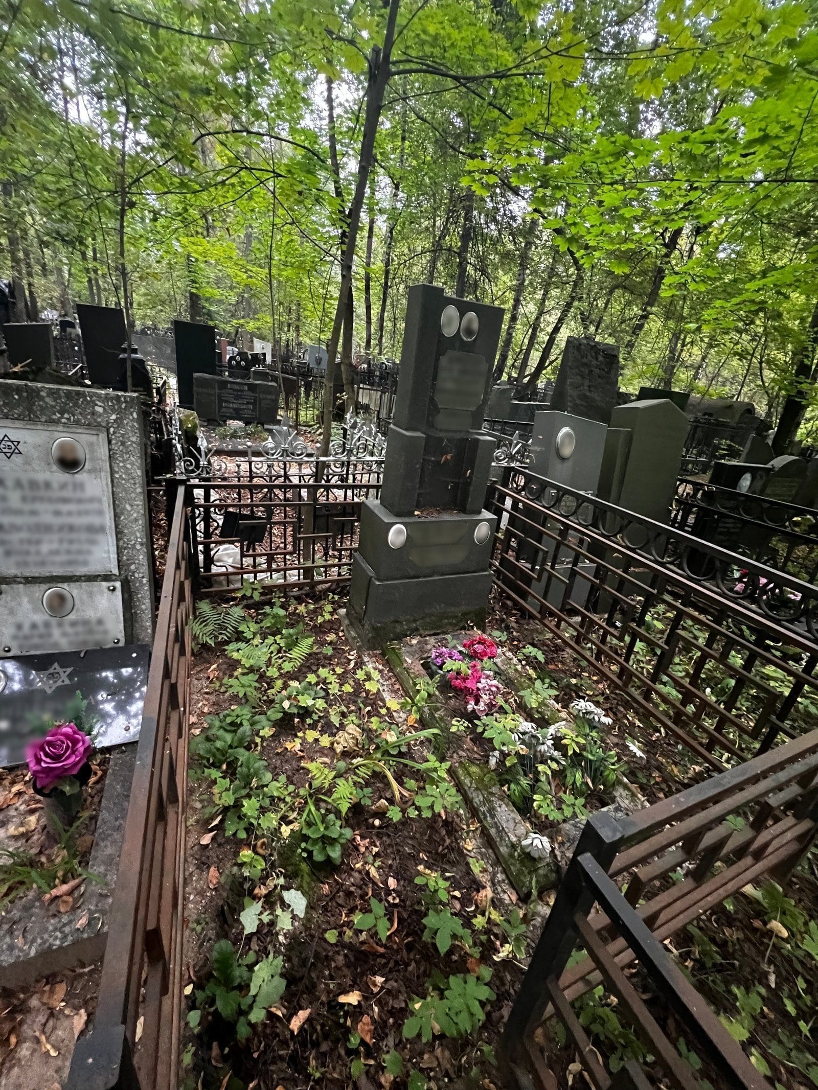Заросший участок на кладбище — пример могилы без ухода