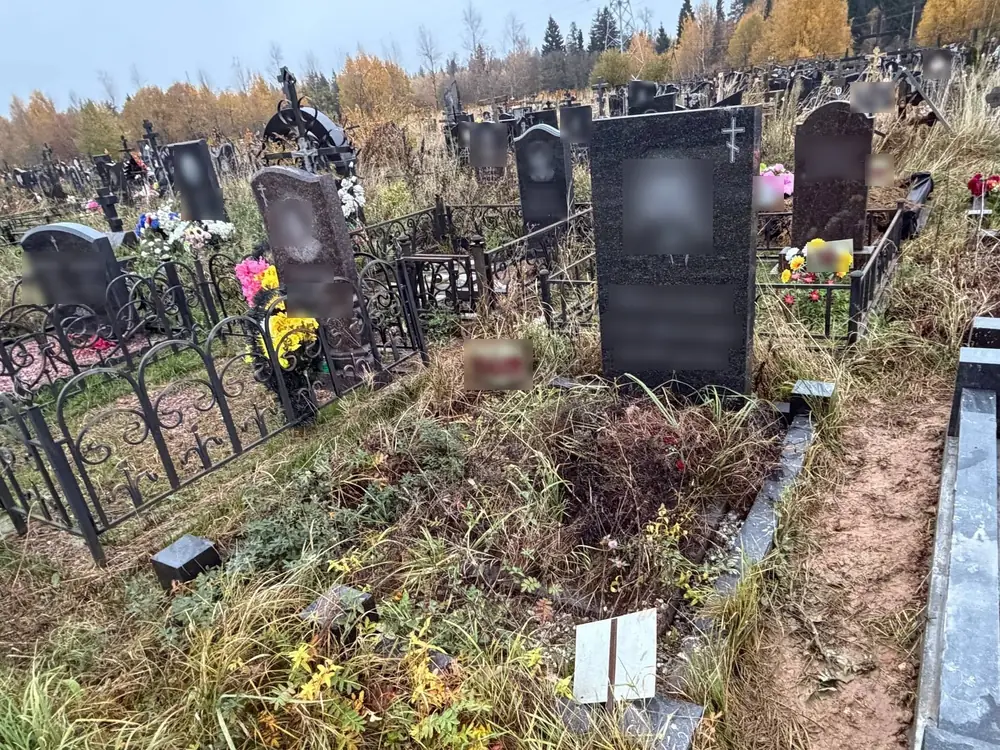 Было: заросший участок. Стало: гранитное обрамление, цветник и отсыпка крошкой — до работы