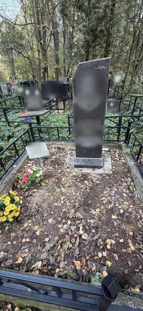 Уборка листвы и посадка цветов — до работы