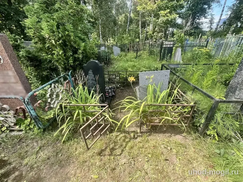 Уборка заросшего участка — после работы