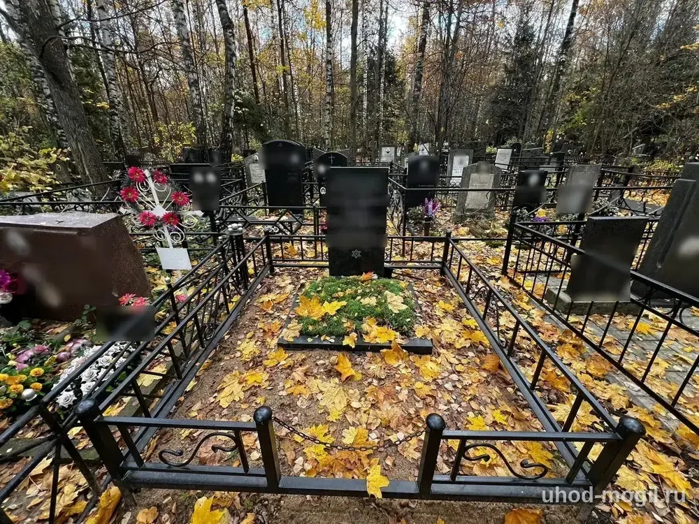Новая ограда, гранитный цветник и расчистка участка — до работы